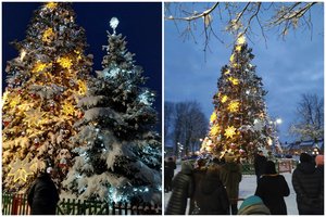 Rietave įžiebta bene vienintelė tokia Kalėdų eglė Lietuvoje: papuošė ir gamta