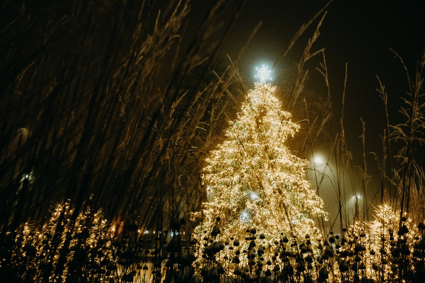 Kretingoje įžiebta Kalėdų eglė.<br>Kretingos rajono savivaldybės nuotr.