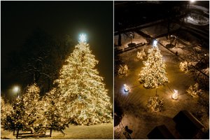 Vaizdas Kretingoje – lyg iš kalėdinės pasakos: sužiro jaukumo dvasia alsuojanti eglė