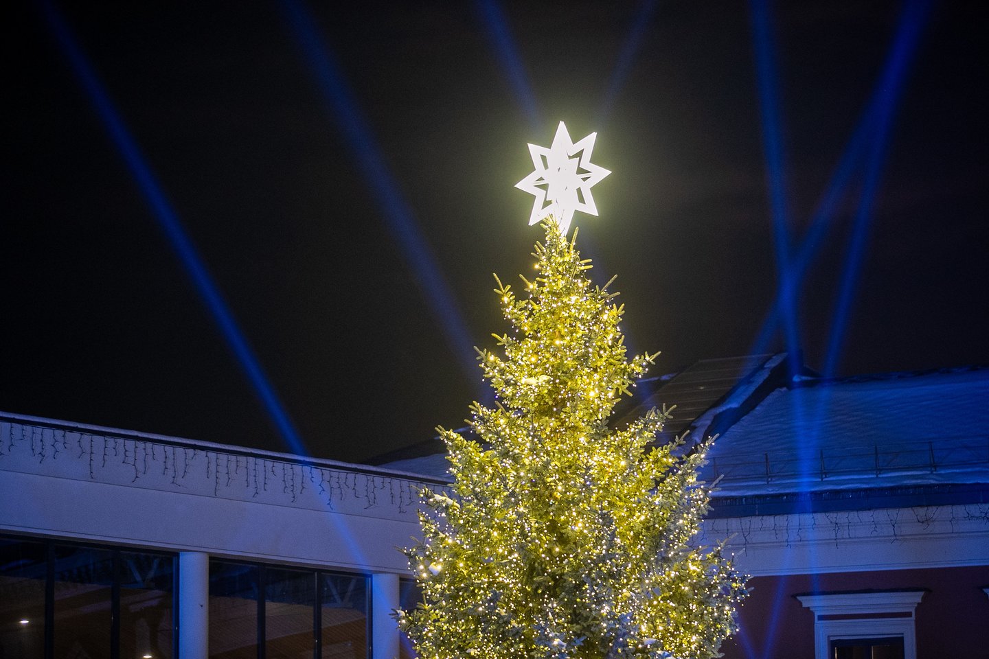 Klaipėdoje įžiebta Kalėdų eglė.<br> O. Gurevičiaus (ELTA) nuotr.