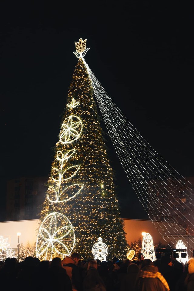 Utenoje įžiebta Kalėdų eglė.<br>Utenos rajono savivaldybės nuotr.