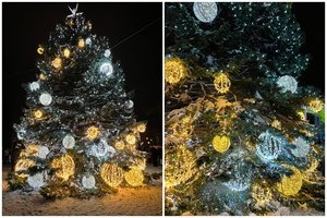 Zarasai įžiebė vaizduotę žadinančią Kalėdų eglę su ypatinga istorija: vaizdas – atima žadą