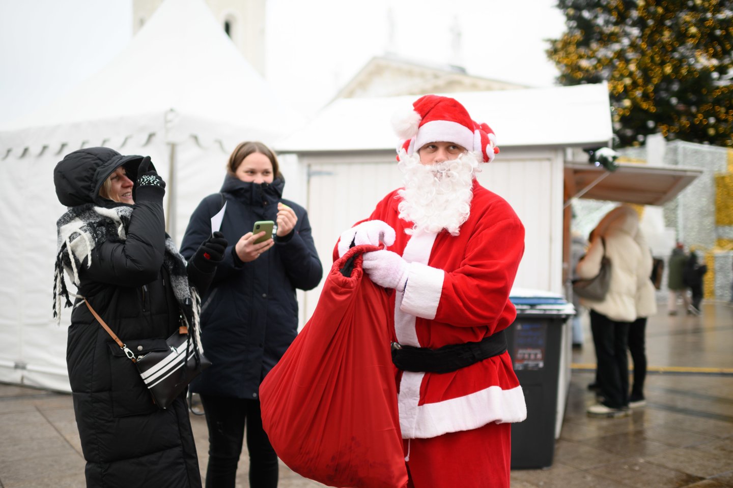 Beglobių gyvūnų organizacijų savanoriai, tapę Kalėdų seneliais ir Snieguolėmis, kvietė į kalėdinę mugę.<br> V. Skaraičio nuotr.