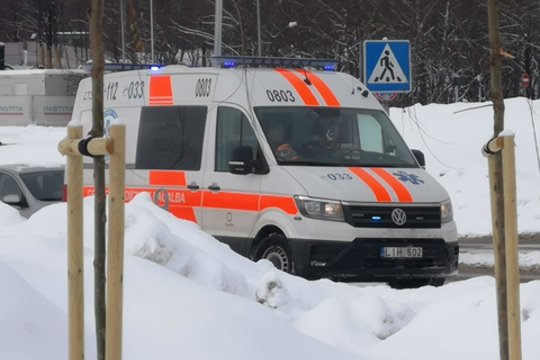 Vienerių metų mergytė iš Joniškio paguldyta į Šiaulių ligoninę: vaikui į veidą įkando šuo.