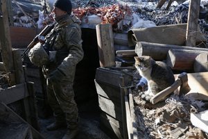 Ukrainos fronte – nauja „invazija“: gynėjai „mobilizuoja“ kates