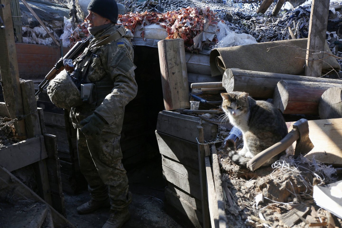 Ukrainos fronte – nauja „invazija“: gynėjai „mobilizuoja“ kates.<br> AFP/Scanpix nuotr.