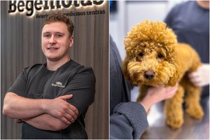 Artėja baisiausia metų naktis daugeliui augintinių: pataria, kaip ją lengviau ištverti