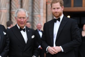 Princo Harry ir Karolio III pokalbis telefonu vėl įplieskė nesantaiką: nesutarimų vis daugėja