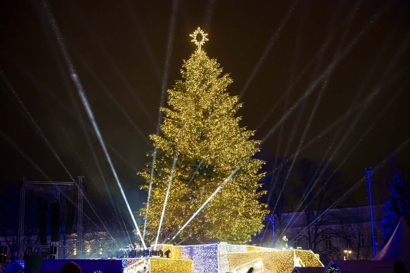 Vilniuje įžiebta Kalėdų eglė.<br>S. Žiūros/Made in Vilnius nuotr.