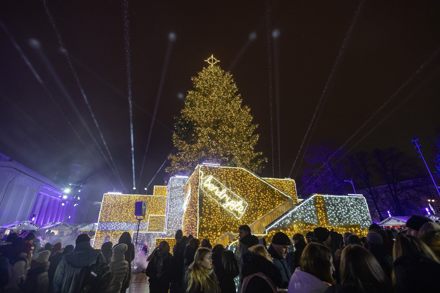 Vilniuje įžiebta Kalėdų eglė.<br>S. Žiūros/Made in Vilnius nuotr.