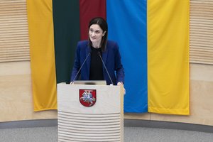 V. Čmilytė-Nielsen: dėl smurto prieš moteris gali tekti koreguoti įstatymus