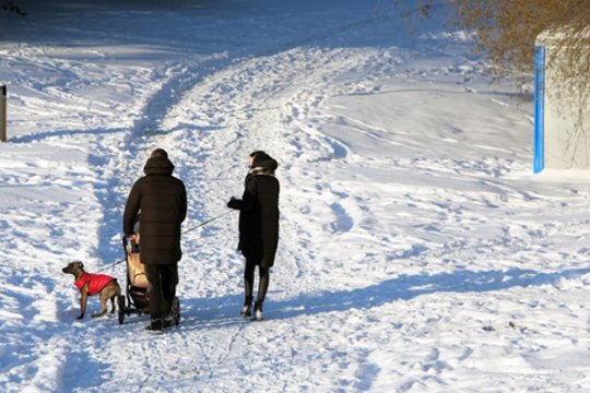 Savaitės pradžia puikiai tiks pasivaikščiojimams lauke: nušvis saulė, sniego sulauksime tik vietomis