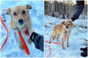 Tikrą pragarą išgyvenusi Pasaka laukia laimingos pabaigos: trūksta tik vieno dalyko