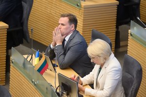 M. Lingė apie kitų metų valstybės biudžeto priėmimą: koalicijos parama tikrai bus