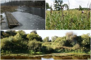 Atima nė neįspėję – natūraliomis pievomis verčia žmonių žemę, kurioje ir šienaujama, ir ganomi gyvuliai