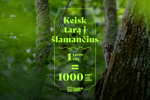 Kviečia keisti tarą į šlamančius – apsaugoti senuosius miškus ir tuos, kas juose glaudžiasi