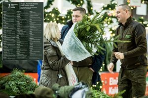 Miškininkai paskelbė, kada ir kur nemokamai dalins eglių šakas: šiemet vietų – daugiau nei 50