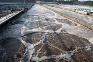 Apklausa parodė – Lietuvos gyventojai nori gyventi tvariau, bet į tualetus nevengia išmesti atliekų: paaiškino, kokia žala daroma