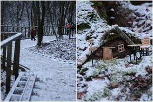 Eidami šiuo pažintiniu taku dairykitės po kojomis: čia įsikūrė elfų namelis