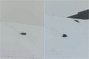 Vargu, ar esate matę ką nors panašaus: užfiksavo sniege žaidžiančias varnas