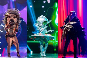 Šou „Kaukės“ finalas: prakalbo jame susikausiantys Juodvarnis, Ežiukas ir Ateivė