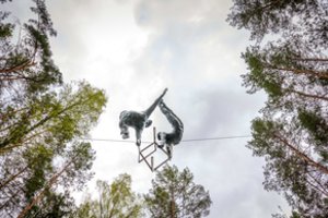 įspūdingi žiemos vaizdai Europos parke: menininkai už tvarų pasaulį