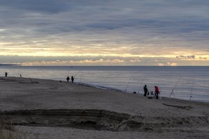 Lietuvos jūriniuose vandenyse – svarbios teritorijos: paaiškino, kodėl svarbu jas apsaugoti