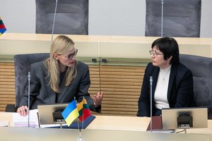 Į Seimo salę iškviestos I. Skuodienė ir E. Žiobienė: paaiškėjo, kad teismas skandalingus vaizdo įrašus jau įvertino