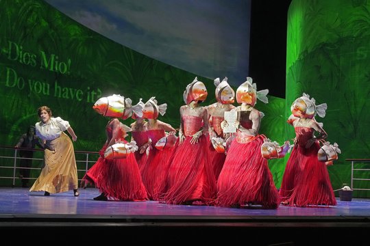   „Florencia en el Amazonas“.