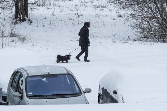 Vietomis gali būti slidu. 