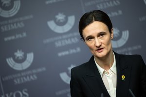 V. Čmilytė-Nielsen viliasi, kad žmogaus teisių tema netaps politiniu įrankiu kitų metų rinkimuose