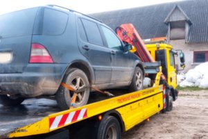 Už neteisėtai sumedžiotą šerną – rimti nemalonumai: gresia ne tik baudos