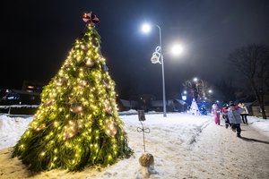 Į Kalėdas – pro tviskančius 15 metrų aukščio vartus: Molėtai įspūdingai pasitinka gražiausias metų šventes