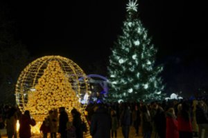 Vilkaviškis nušvito – įžiebta nuostabi Kalėdų eglė, miestą užliejo šventinė nuotaika