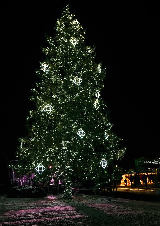 Kaišiadoryse įžiebta Kalėdų eglė.<br>Ričardo Venskaus nuotr.