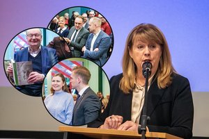 V. Blinkevičiūtė kreipėsi į G. Landsbergį: „Reikėjo anksčiau iškristi iš medžio ir pabusti“