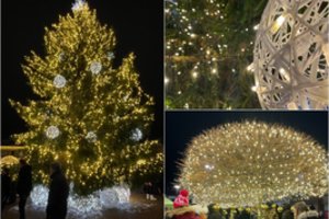 Prienuose sužibo gražioji miesto žaliaskarė: Kalėdų eglė tradiciškai padovanota kraštiečių