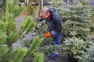 Prekybininkai stebi pokyčius: žmonės perka daugiau natūralių ir dirbtinių eglučių