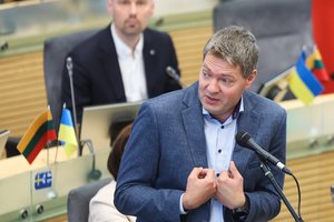 Darbo partija dėl dalyvavimo prezidento rinkimuose žada galutinai apsispręsti sausį