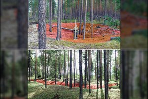 Sibire aptiko seniausią pasaulyje tvirtovę