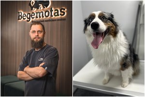 14 produktų, kurie augintiniui gali padaryti daug žalos: prieš šventes – išsamus veterinaro paaiškinimas
