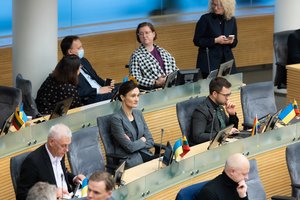 Seimo opozicija ėmėsi V. Čmilytės-Nielsen: įsiaudrinusį Seimo narį reikėjo raminti