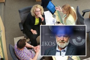 Laisvės partijos pasiūlymas įsiutino E. Gentvilą: jei norite taškytis seilėmis, taškykitės