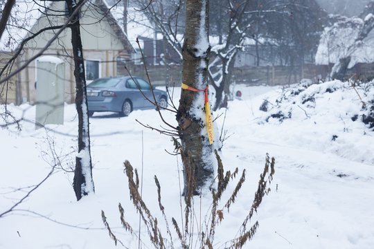 Po tragedijos prie Vilniaus, kai policijos pareigūnas nušovė moterį.<br>T.Bauro nuotr.
