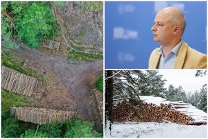 S. Gentvilo kritika „Vardan Lietuvos“ siūlymui rengti referendumą dėl plynųjų kirtimų: problema sprendžiama tik įstatymais