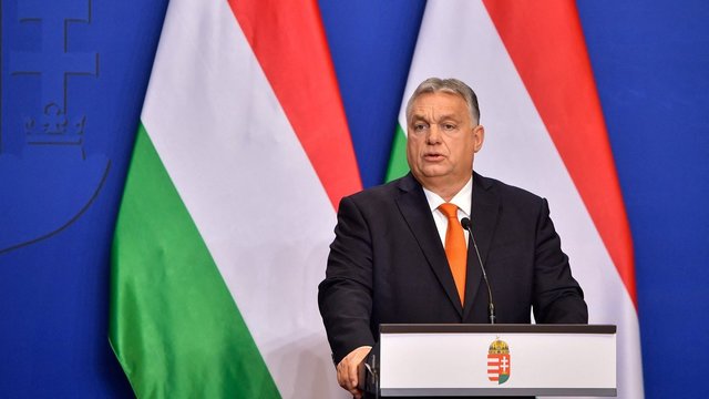 Atsakė, ką reiškia V. Orbano galios demonstravimas: iš ES bando padaryti Vengriją