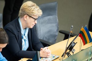 I. Šimonytė įvertino Seimo sprendimą dėl naktinių taikiklių: įstatymo priėmimo epopėja buvo savotiška