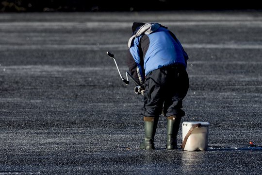 Įsigalioja draudimas gaudyti vėgėles