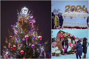 Panevėžio rajone – žaliaskarė, pirmąkart papuošta saldžiais žaisliukais: vilioja užsukti smaližius 