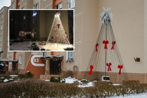 Detektyvas Panevėžyje – niekadėjai išniekino kiemą puošusią Kalėdų eglę: paskelbė prašymą